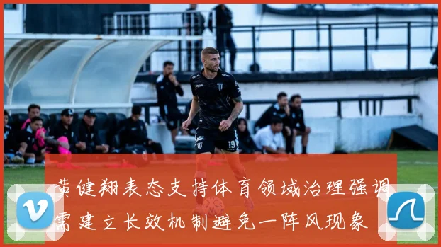 黄健翔表态支持体育领域治理强调需建立长效机制避免一阵风现象