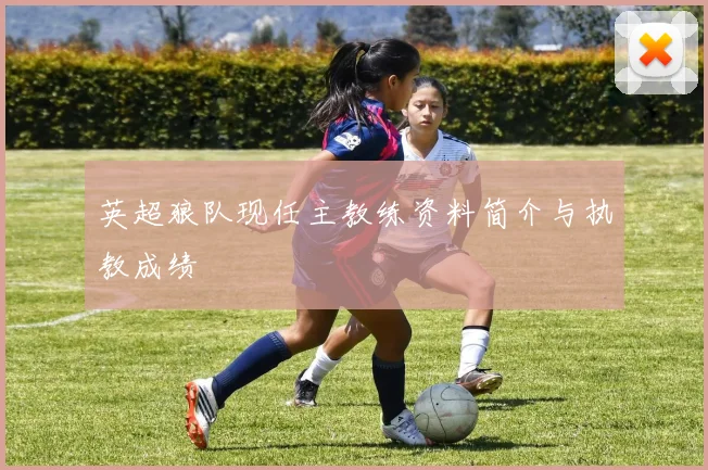 英超狼队现任主教练资料简介与执教成绩